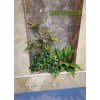 اجرای گل و گیاه مصنوعی برای پارکینگ 1- و 2-